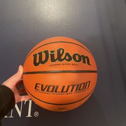 Wilson Evolution Basketball