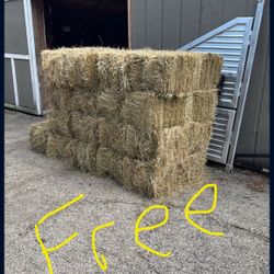Free Hay 