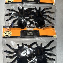 Spider