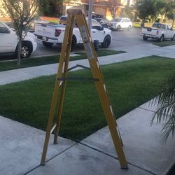 Ladder 6 foot