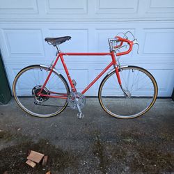 1974 Schwinn Sports Tourer 