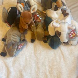 Beanie babies 