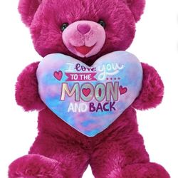 Valentine’s 21” Hot Pink Bear Plushie w/  2026 Embroidered 