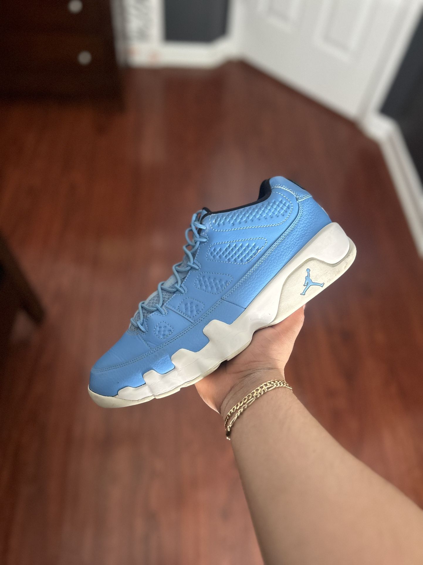 Jordan 9 Low Pantone Sz 12