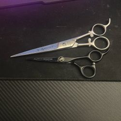 Professional Barber Shears