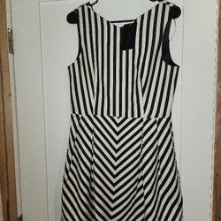 Zara  Dress (New)
