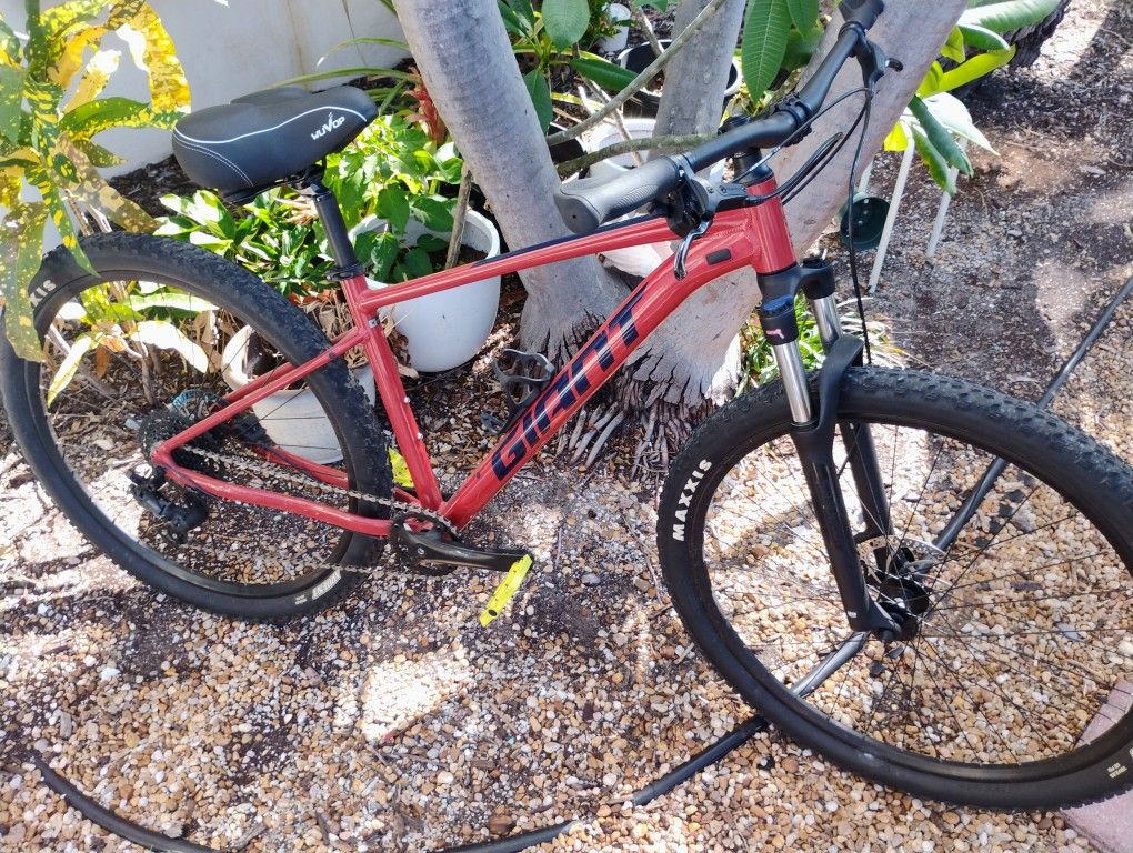 Giant Mountain Bike 