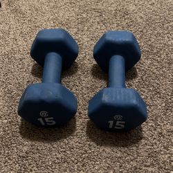 15lb Weights