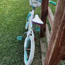 Liv Bike For Girls 