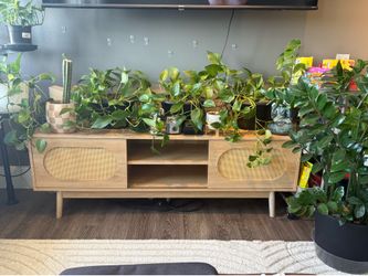 TV stand