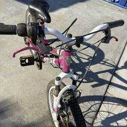 Pink Bike Mountain Bike 20 Inch Tire 