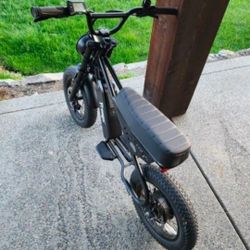 Freego Mini Electric Dirt Bike for Kids Adults,800W(Peak) Motor/48V/10.4Ah, 16" x3 Fat Tire Off Road Electric Motorcycle 31mph