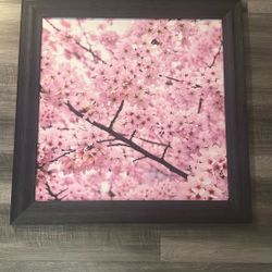 Cherry Blossom Canvas Frame 