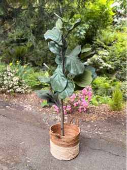 Artificial fiddle leaf fig tree w/ decorative basket
