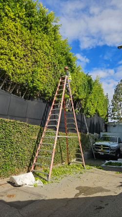 Ladder 18ft