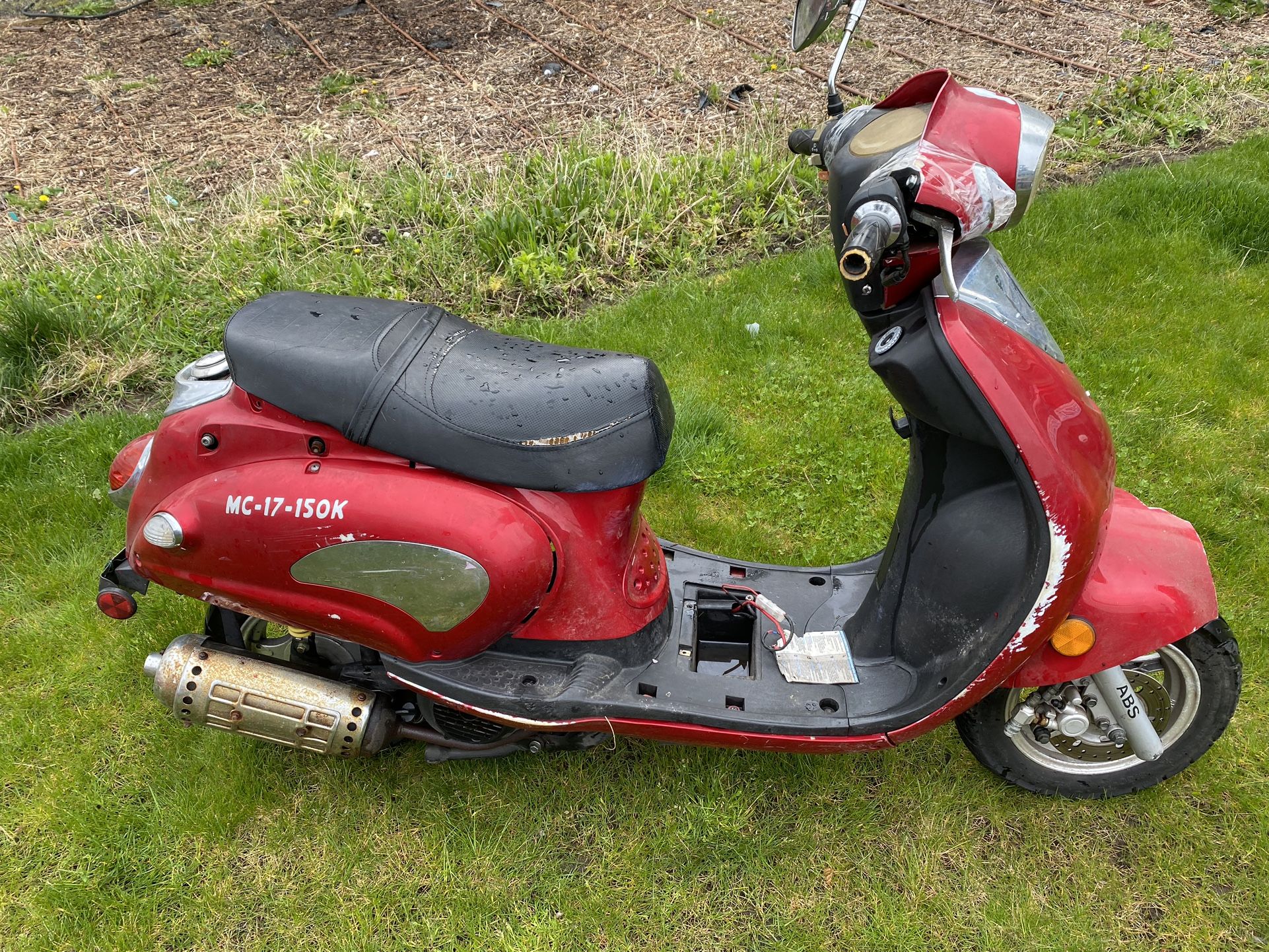 mopheads for sale near me