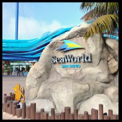 Seaworld Tickets 