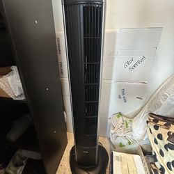 Fan