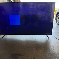 Vizio 75” TV