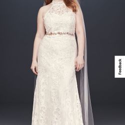 Weddings Dress & Veil