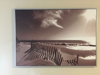 Picture and frame, jungle journey, aluminum color, 55x39 ¼ "