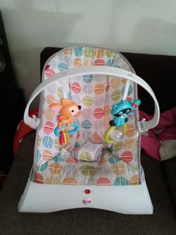 Baby Bouncer