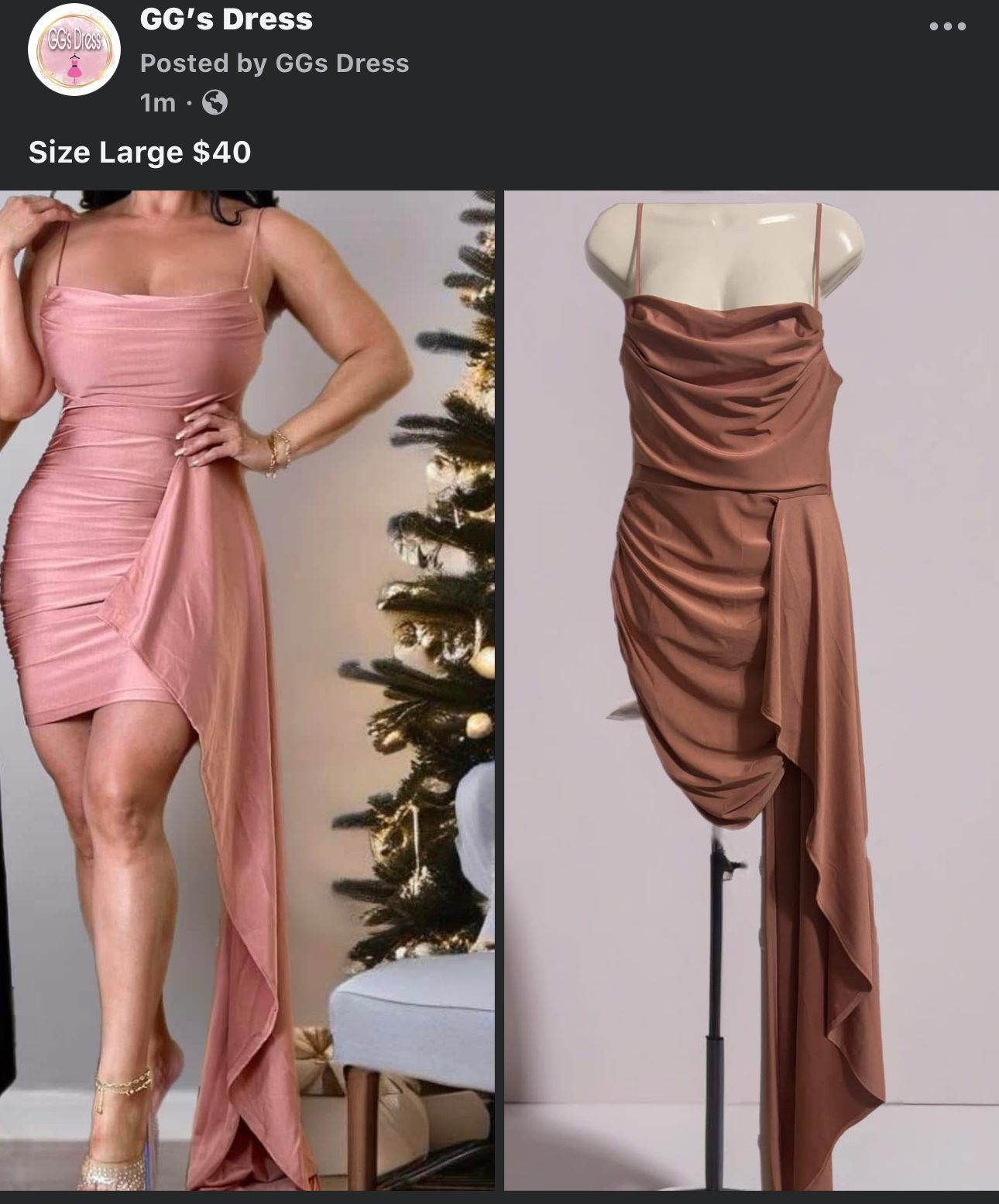 Dress Size Large $45