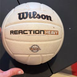 Volleyball Setter Trainer ball