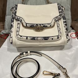 Coach Leather Python Handbag 