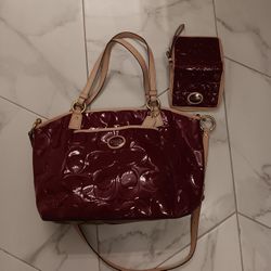 Coach Peyton Tote Bag  Matching Wallett