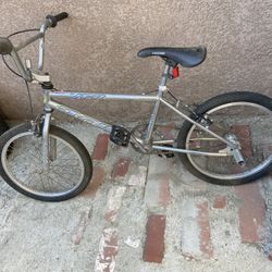 20” Dyno 