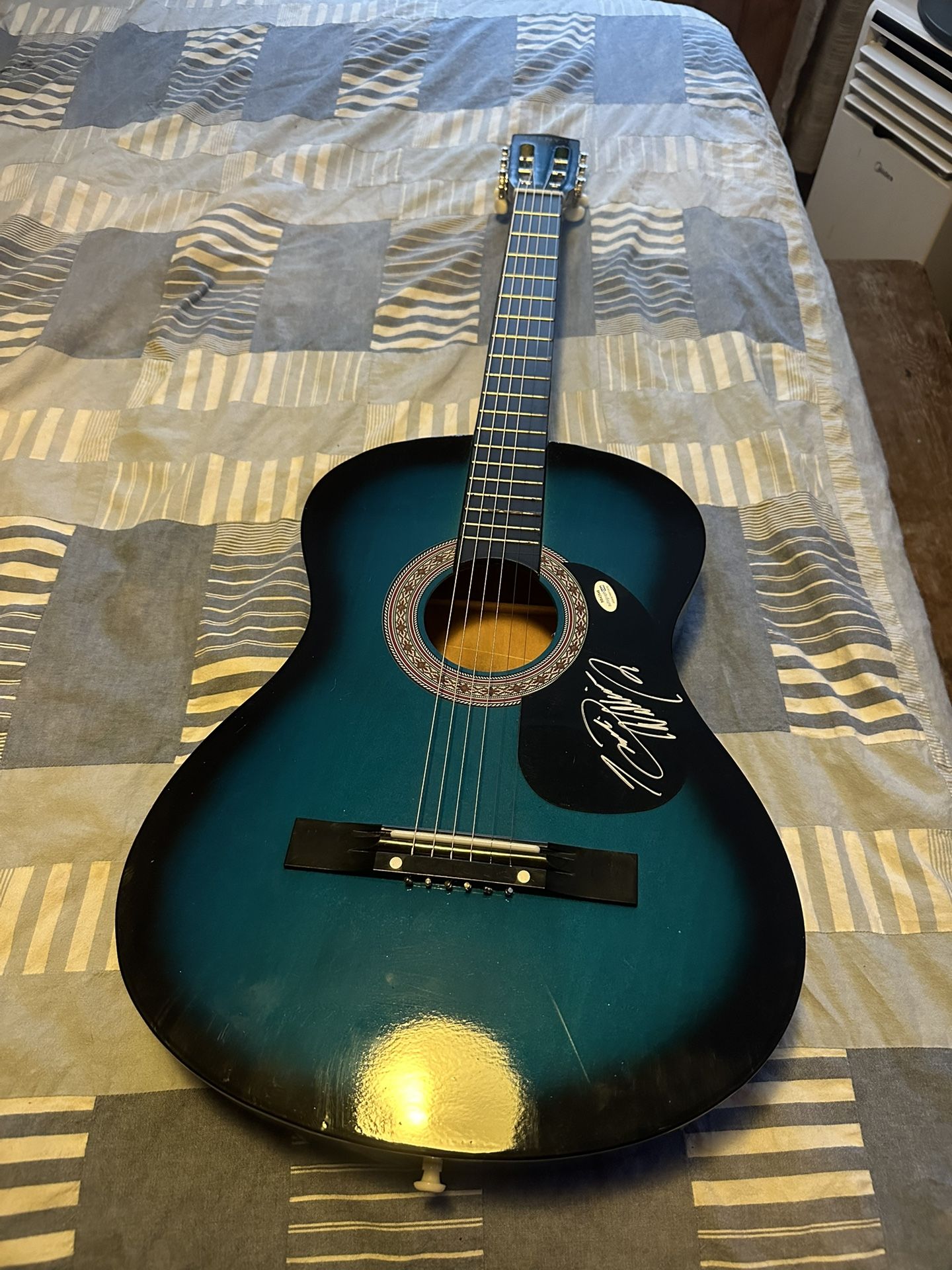Hank Williams Jr Autographed Guitar