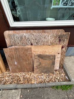 Free random pieces of plywood