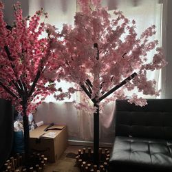 For Sell Cherry Blossom Trees $200 Each Bend New