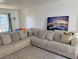 L shaped Sectional couch