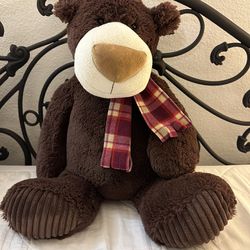 Teddy Bear 🧸 