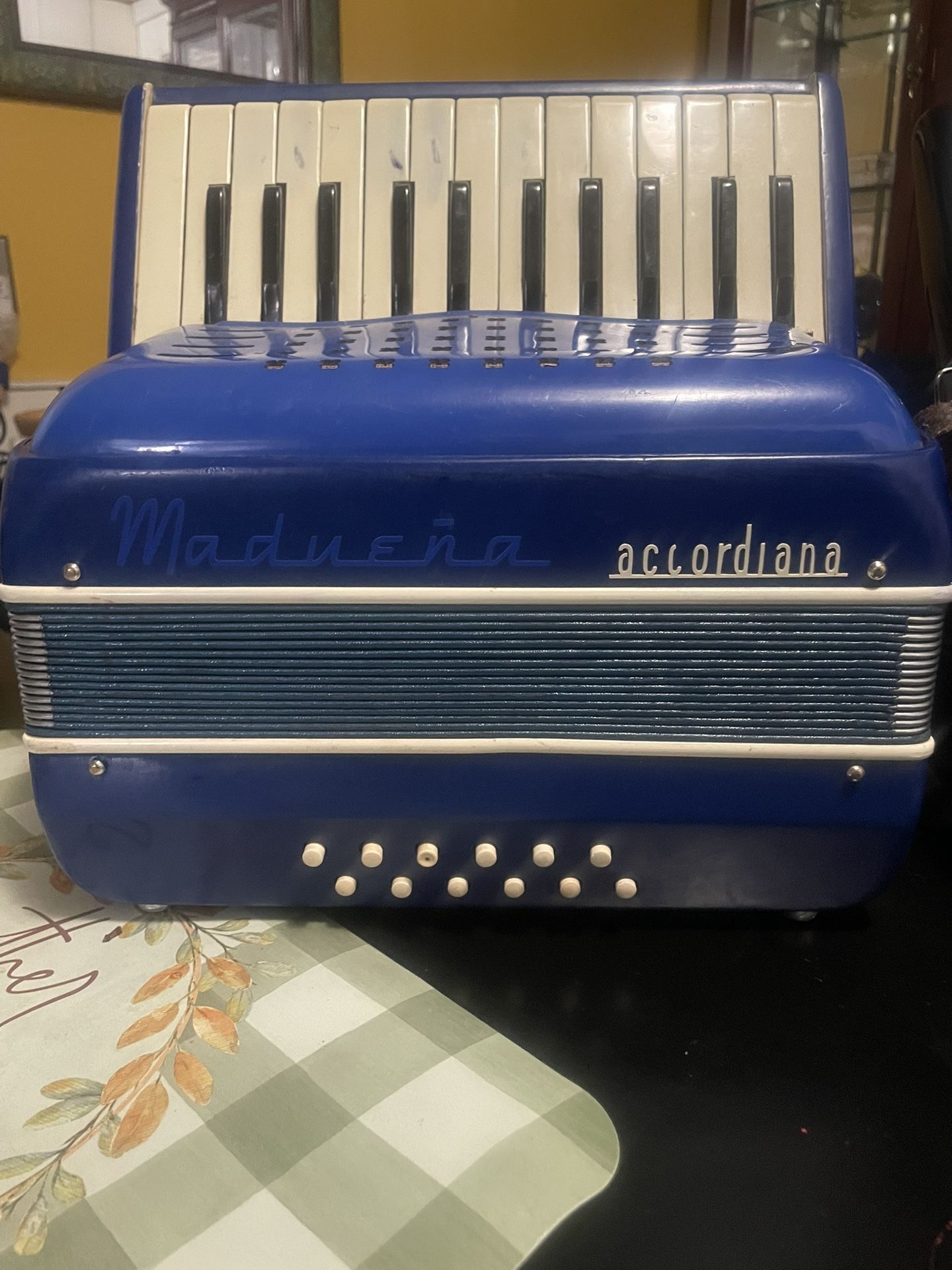 Italian Accordion