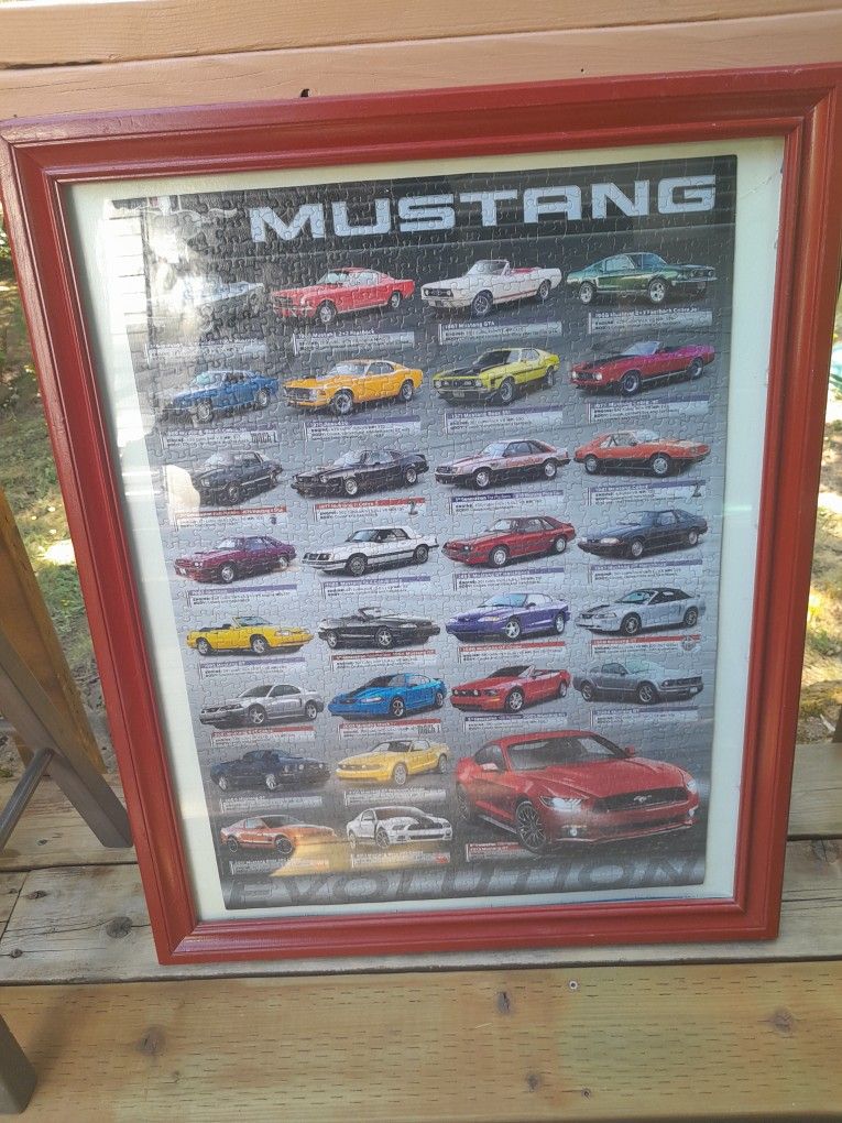 Mustang Puzzle Picture Framed