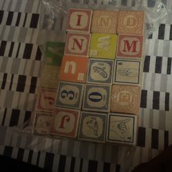Uncle Goose Sign Language, Braille ABC Number  Blocks 