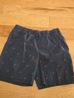 Walking Shorts. Large Size.