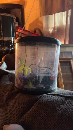 starter fish tank everything in it