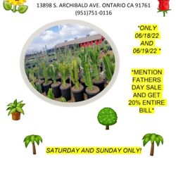 Plants