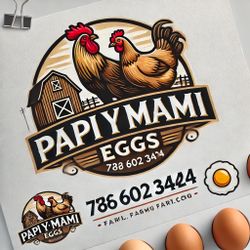 30 Huevos criollos , gallinas criadas en nuestro patio