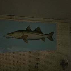 Snook Photo  Aluminum 