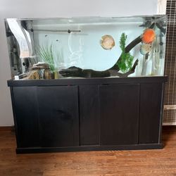 125 Gallon Acrylic Freshwater Aquarium 