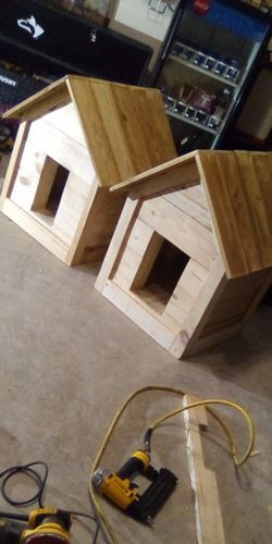 For Your Pet $120 For One