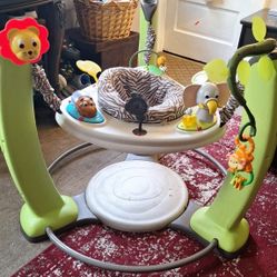 ExerSaucer