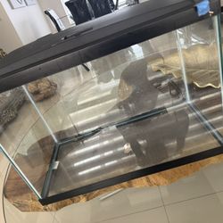 Pescera De 20 Galones X 15$