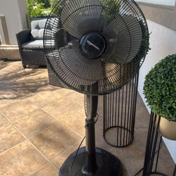 Fan $20