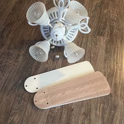 Ceiling Fan